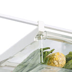 Fridge Storage Bin Multifunctional Refrigerator Drawer Organizer for Food Kitchen Supplies