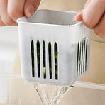 Chopped Green Onion Crisper Multipurpose Large Capacity Refrigerator Food Storage Container with Drain Holes for Kitchen