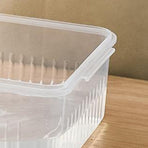 Chopped Green Onion Crisper Multipurpose Large Capacity Refrigerator Food Storage Container with Drain Holes for Kitchen