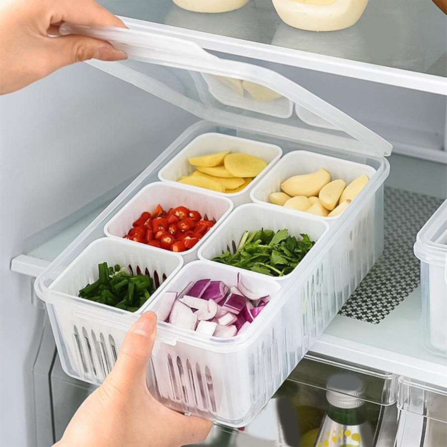 Chopped Green Onion Crisper Multipurpose Large Capacity Refrigerator Food Storage Container with Drain Holes for Kitchen
