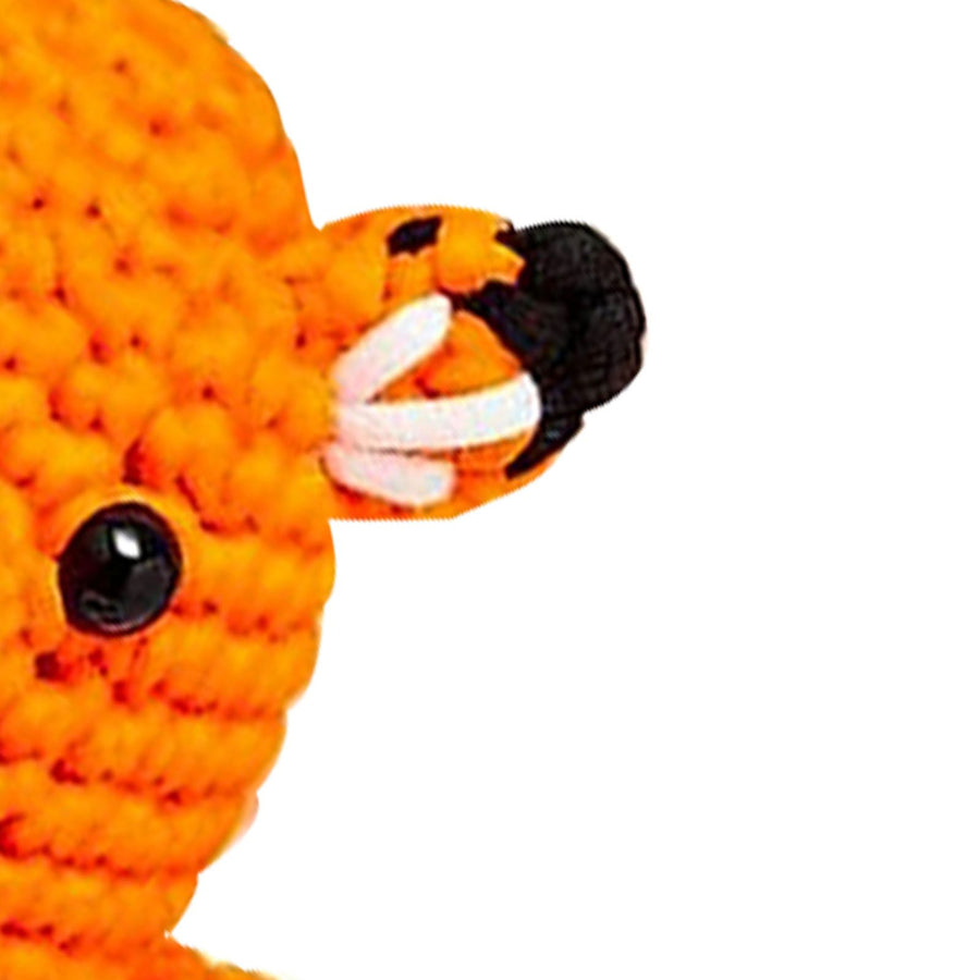 Beginner Crochet Kit with Video Tutorials Interesting Crochet Starter Kit for Leisure Entertainment Fox