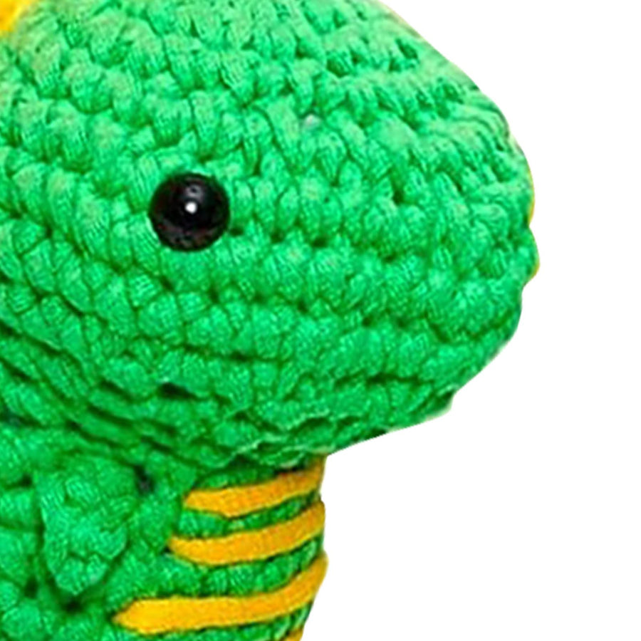 Beginner Crochet Kit with Video Tutorials Interesting Crochet Starter Kit for Leisure Entertainment Dinosaur
