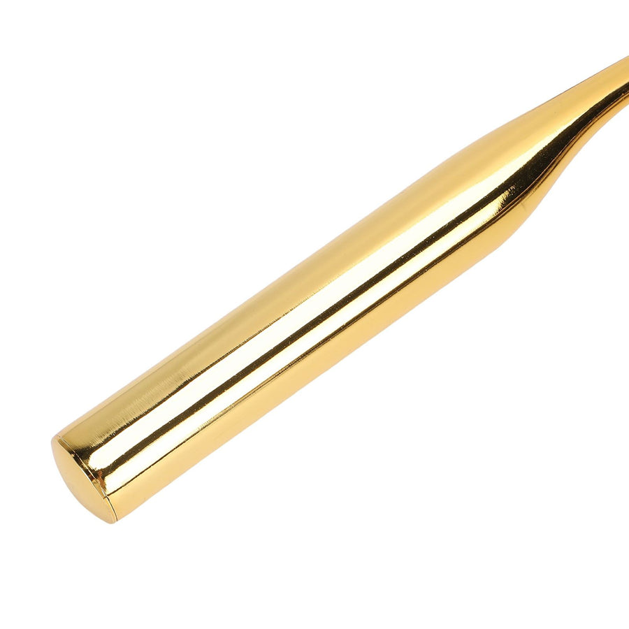 Stainless Steel Squeegee All Purpose Shower Window Squeegee with Hook for Household Easy Cleaning Gold