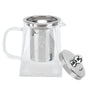 Transparent Glass Teapot with Removable 304 Stainless Steel Filter Tea Kettle for Home Office550ml