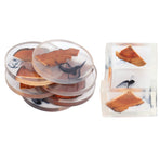 6Pcs Drink Coasters Rack Set Heat Insulation Pine Wood Resin Cup Pad Tabletop Protection(Round Coaster Rack )