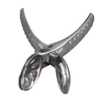 Chestnut Opener 304 Stainless Steel Portable Sharp Nutcracker Chestnut Cutter Tool Chestnut Clip for Home Travel Office
