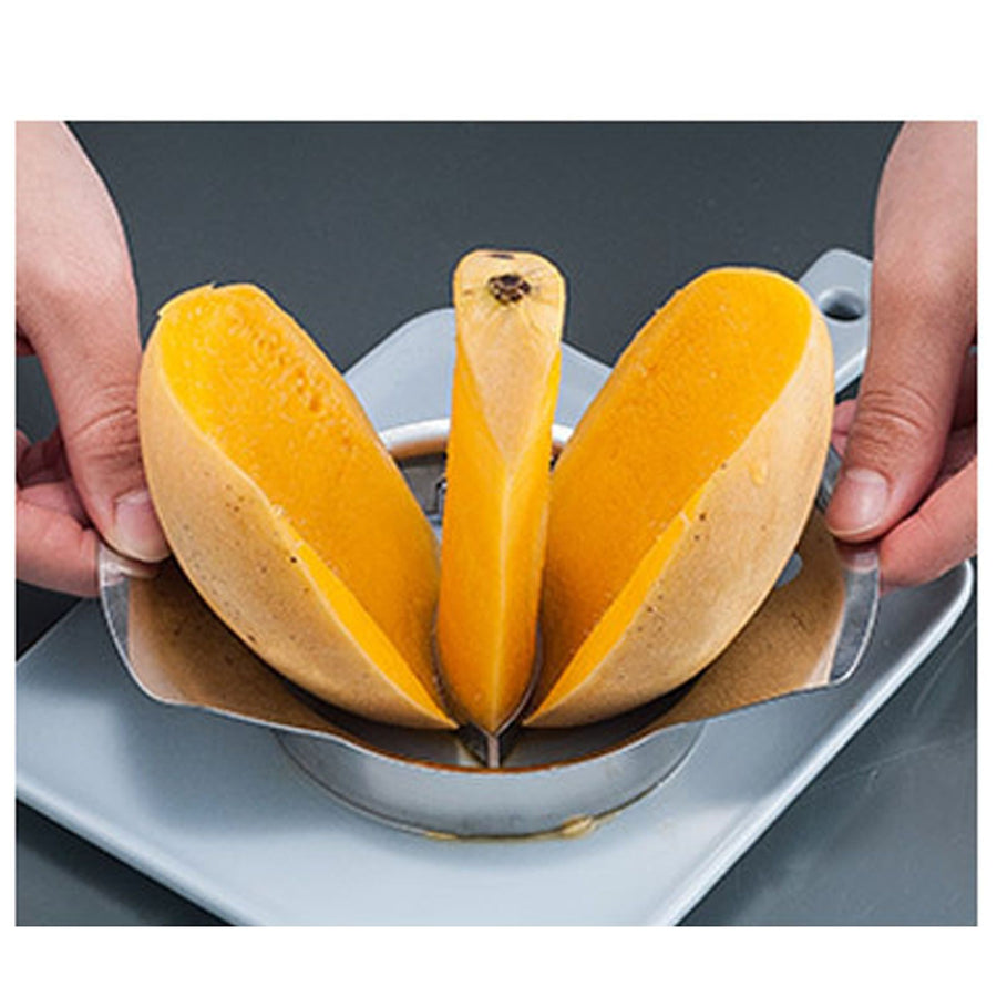 Stainless Steel Fruits Cutter Sharp Efficient Easy To Clean Stainless Steel Fruits Corer for Kitchen Mango