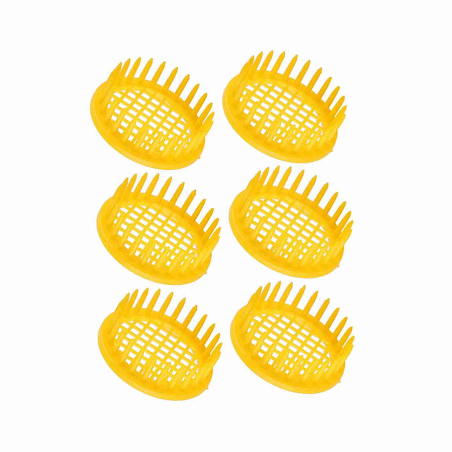 6 Pcs Queen Bee Rearing Box Cell Beekeeping Equipment