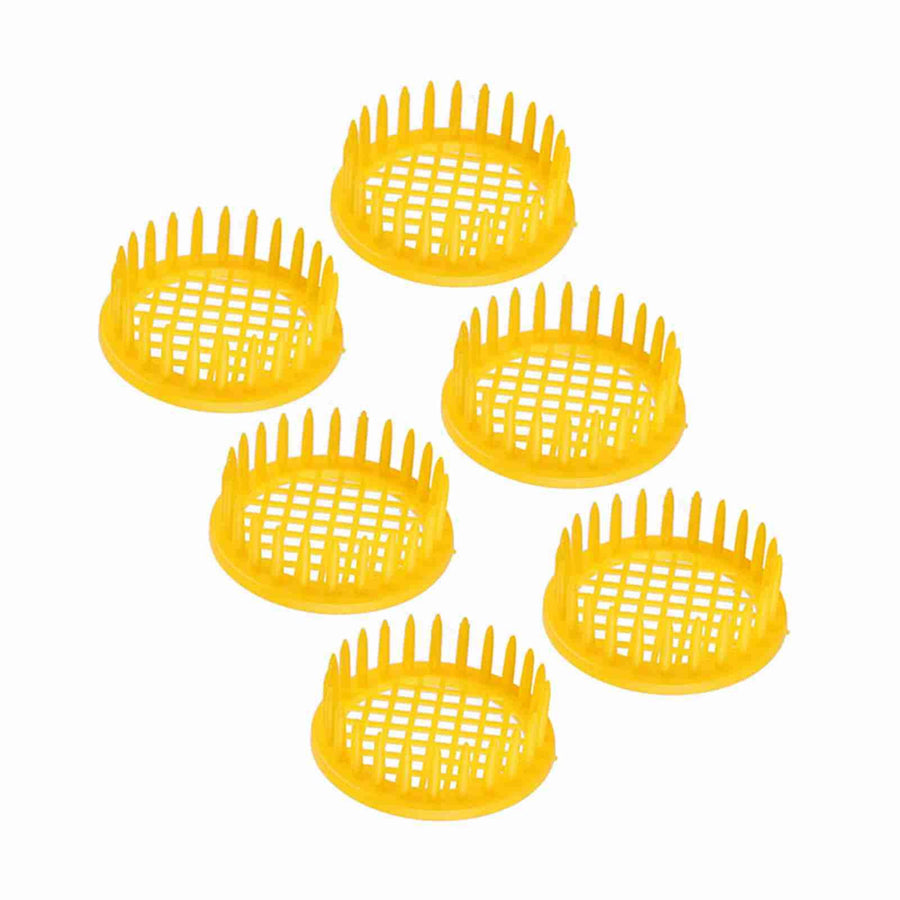6 Pcs Queen Bee Rearing Box Cell Beekeeping Equipment