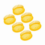 6 Pcs Queen Bee Rearing Box Cell Beekeeping Equipment