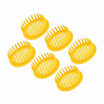 6 Pcs Queen Bee Rearing Box Cell Beekeeping Equipment