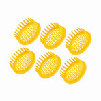 6 Pcs Queen Bee Rearing Box Cell Beekeeping Equipment