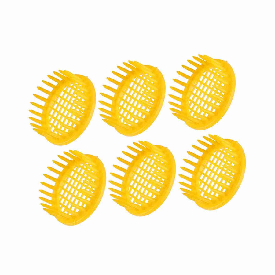6 Pcs Queen Bee Rearing Box Cell Beekeeping Equipment