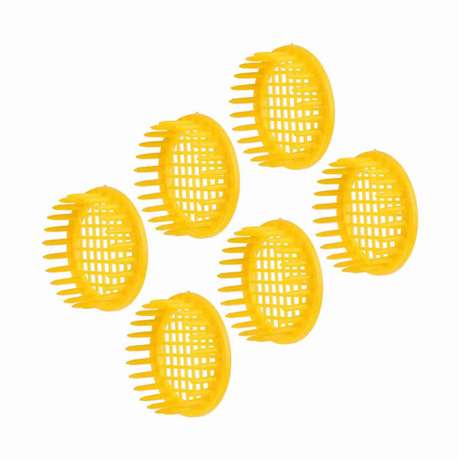 6 Pcs Queen Bee Rearing Box Cell Beekeeping Equipment