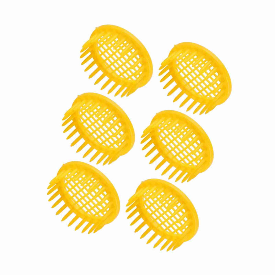 6 Pcs Queen Bee Rearing Box Cell Beekeeping Equipment