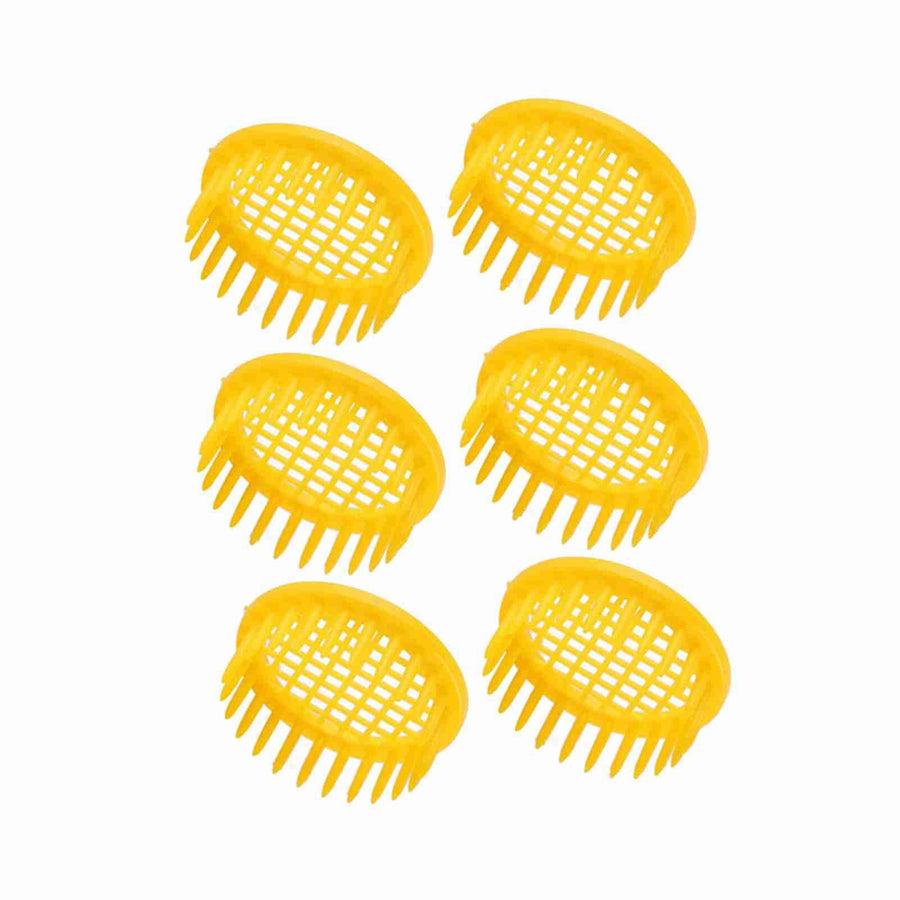 6 Pcs Queen Bee Rearing Box Cell Beekeeping Equipment