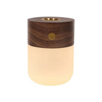 Mini Aromatherapy Lamp Rechargeable Night Light Bedroom Atmosphere Bedside Lamp Ornament Warm White Light 3 Levels of Brightness Touch Control