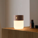 Mini Aromatherapy Lamp Rechargeable Night Light Bedroom Atmosphere Bedside Lamp Ornament Warm White Light 3 Levels of Brightness Touch Control