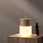 Mini Aromatherapy Lamp Rechargeable Night Light Bedroom Atmosphere Bedside Lamp Ornament Warm White Light 3 Levels of Brightness Touch Control