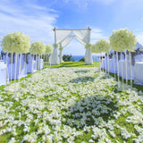 Wedding Acrylic Road Lead Flower Stand Cylinder Vase Flower Arrangement Wedding Decoration - Extra Image
