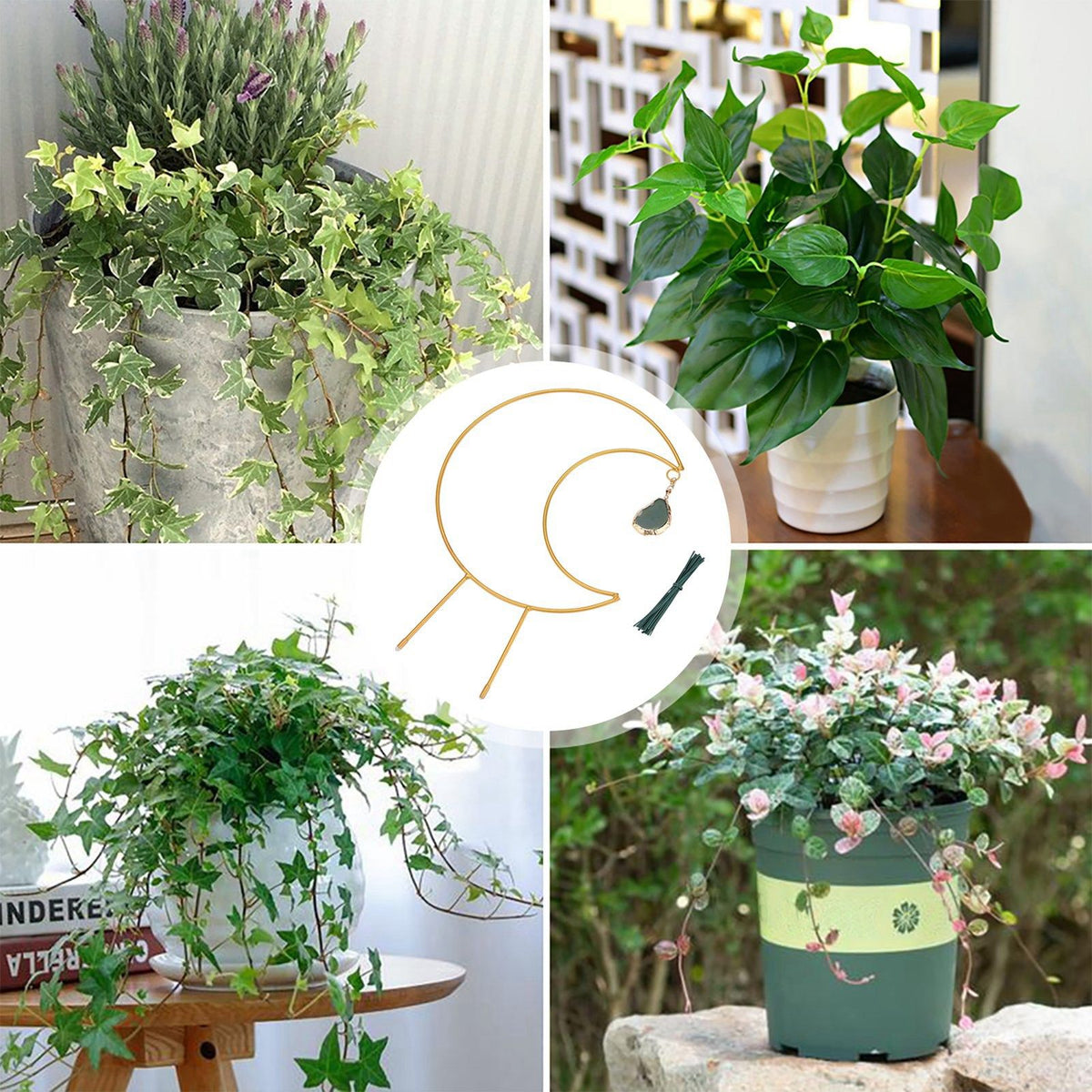 Plant Climbing Frame Climbing Vine Iron Flower Frame Moon Bracket Plant Trellis