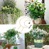Plant Climbing Frame Climbing Vine Iron Flower Frame Moon Bracket Plant Trellis - Low Angle
