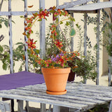 Plant Climbing Frame Climbing Vine Iron Flower Frame Moon Bracket Plant Trellis - Extra Image