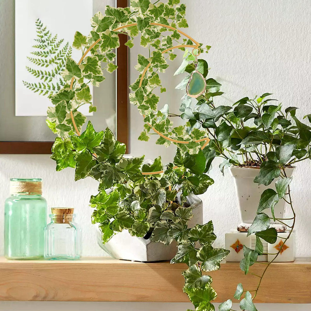 Plant Climbing Frame Climbing Vine Iron Flower Frame Moon Bracket Plant Trellis