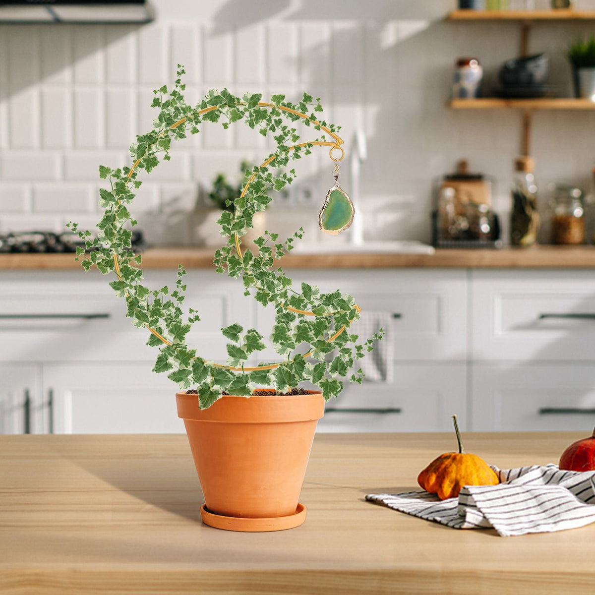 Plant Climbing Frame Climbing Vine Iron Flower Frame Moon Bracket Plant Trellis