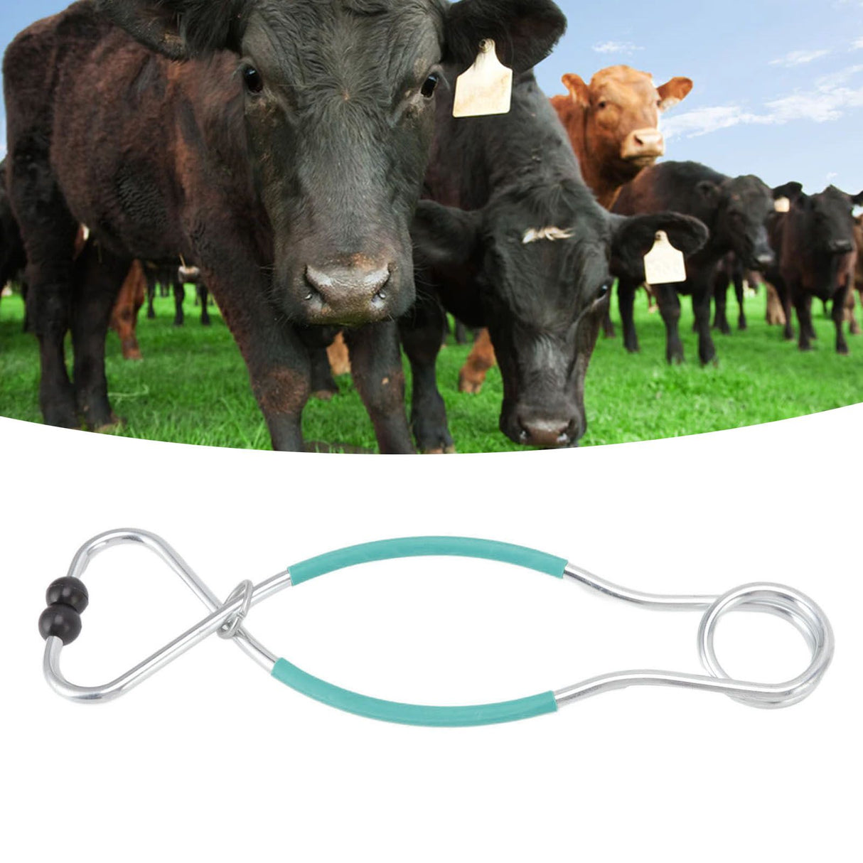 Cattle Bull Cow Nose Pliers Metal Punch Free Strong Traction Cow Pulling Tool for Farm Ranch Veterinary L Green