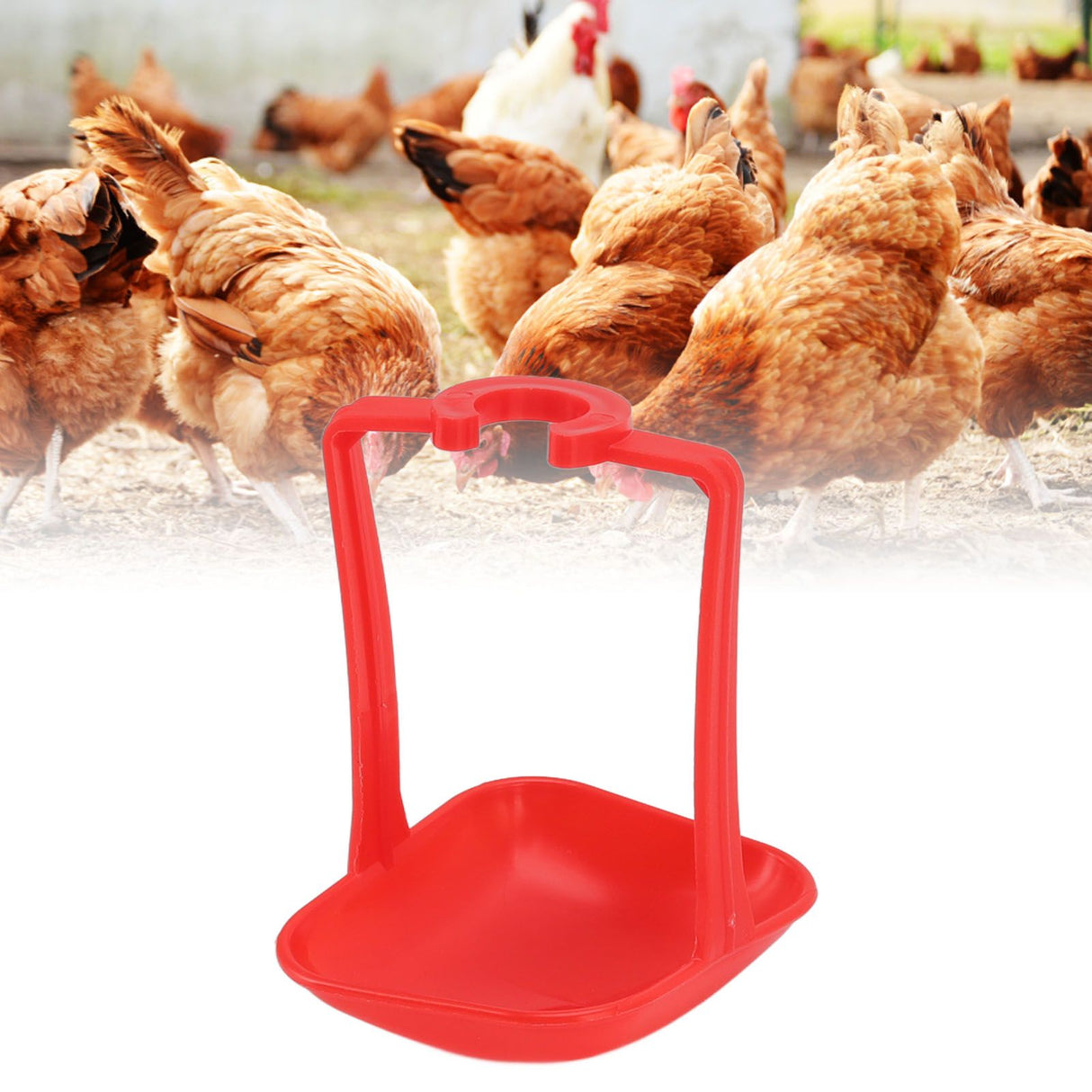 20Pcs Chicken Automatic Waterer Cups Rust Proof Bright Color Chicken Drinking Cups for Farm Red