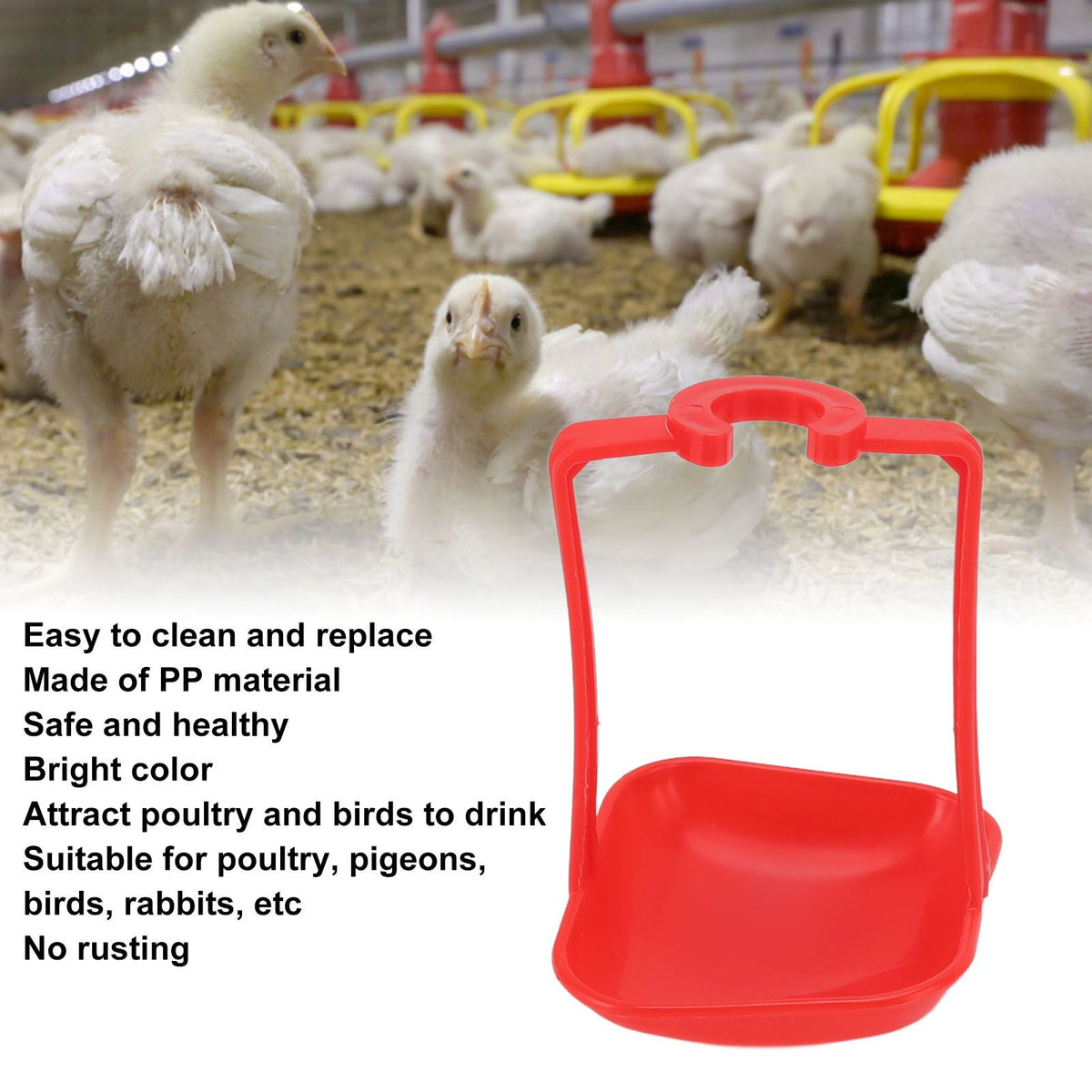 20Pcs Chicken Automatic Waterer Cups Rust Proof Bright Color Chicken Drinking Cups for Farm Red