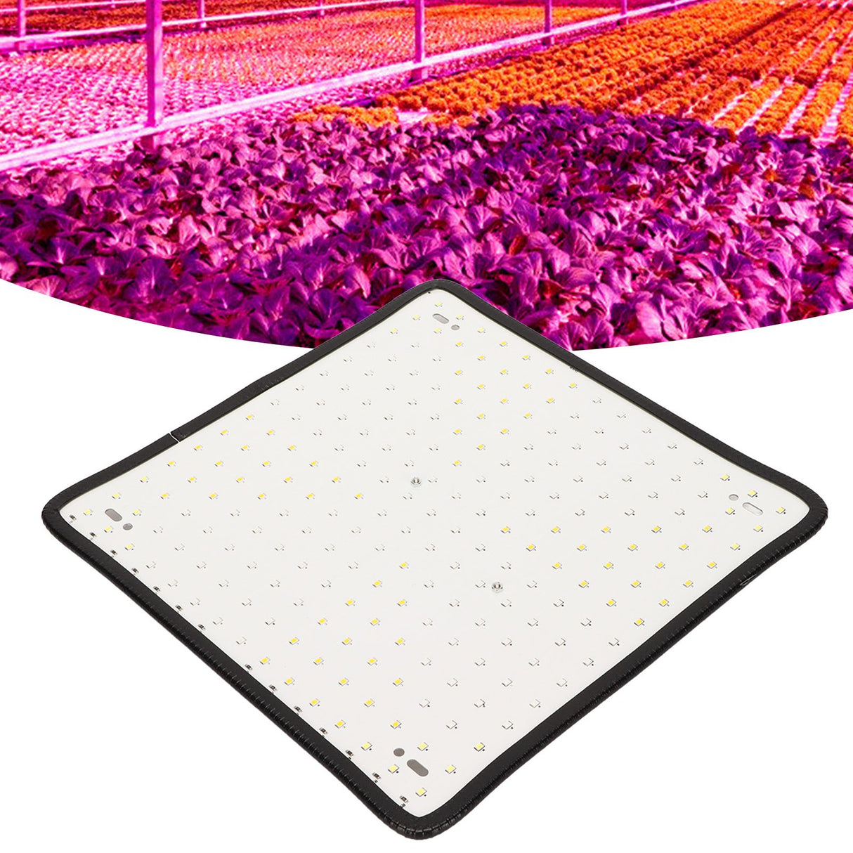 1000W LED Plant Grow Light Red and Blue Spectrum Quantum Board Plant Light for Indoor Greenhouse Seedling 85‑265V AU Plug