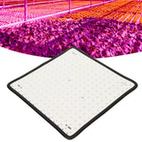 1000W LED Plant Grow Light Red and Blue Spectrum Quantum Board Plant Light for Indoor Greenhouse Seedling 85‑265V AU Plug
