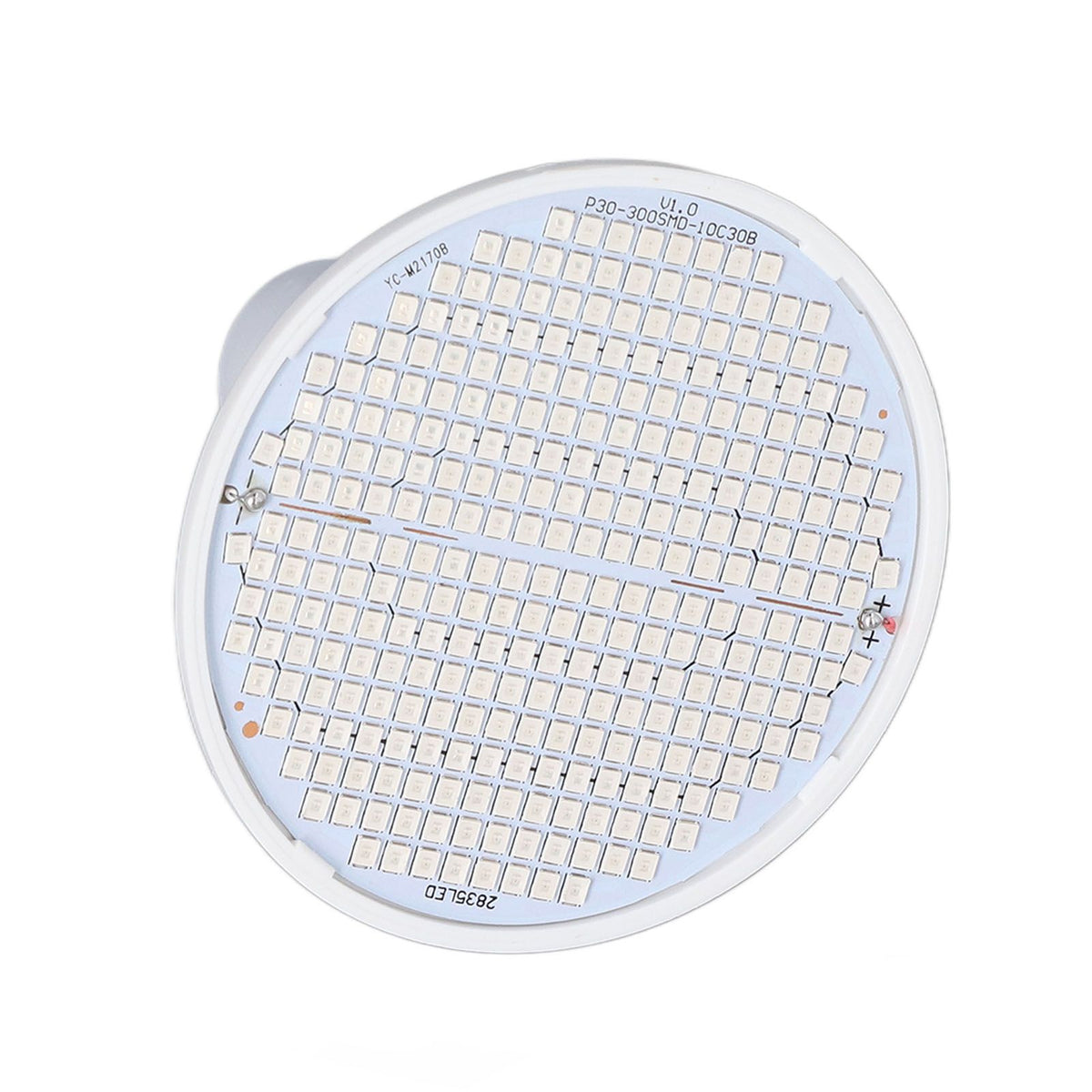 Plant Light E27 Bulb Red Blue Light E27 LED Grow Bulb for Indoor Seedlings 85‑265V E27 300