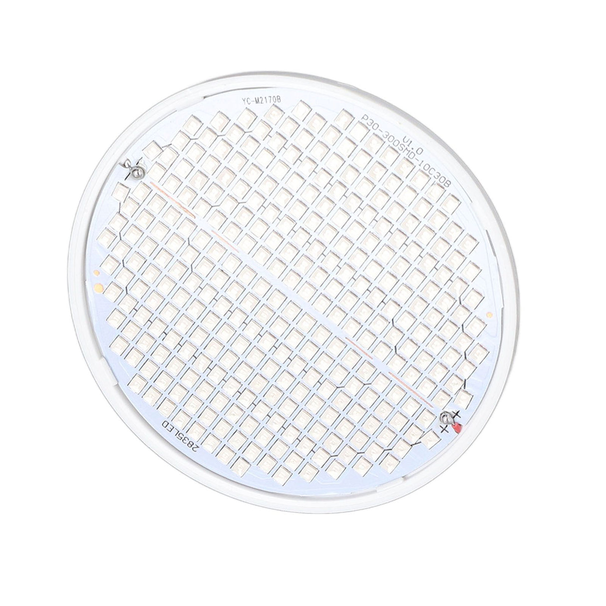 Plant Light E27 Bulb Red Blue Light E27 LED Grow Bulb for Indoor Seedlings 85‑265V E27 300