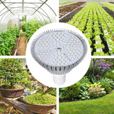 LED Grow Lamp Bulb E27 Low Power Consumption Full Spectrum Low Heat Generation LED Plant Growth Lamp Bulb 85‑265V 80W, 120 Beads