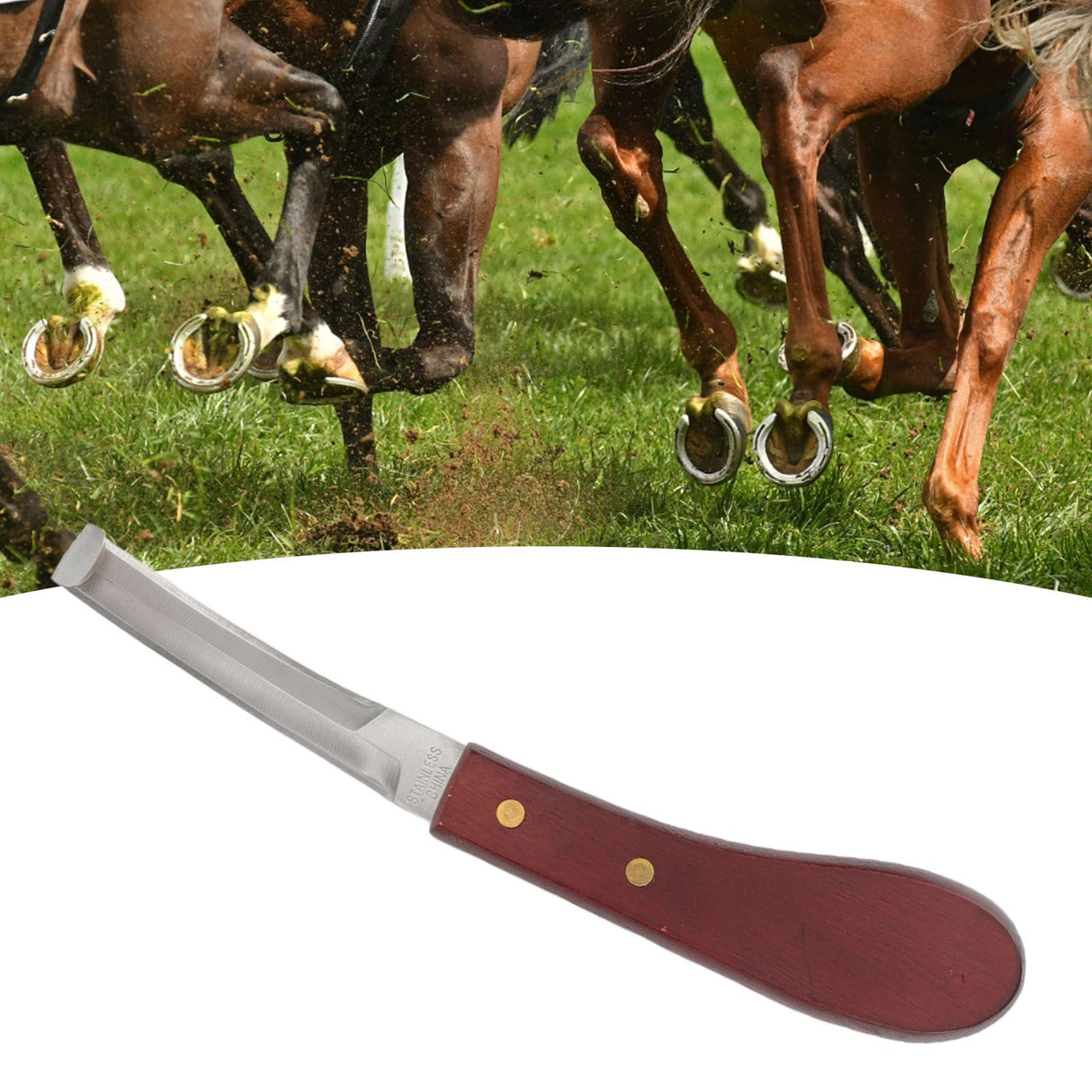 Hoof Knife Razor Stainless Steel Double Sided Blade Ergonomic Wooden Handle Hoof Edge Knife for Horse Hoof Trimming