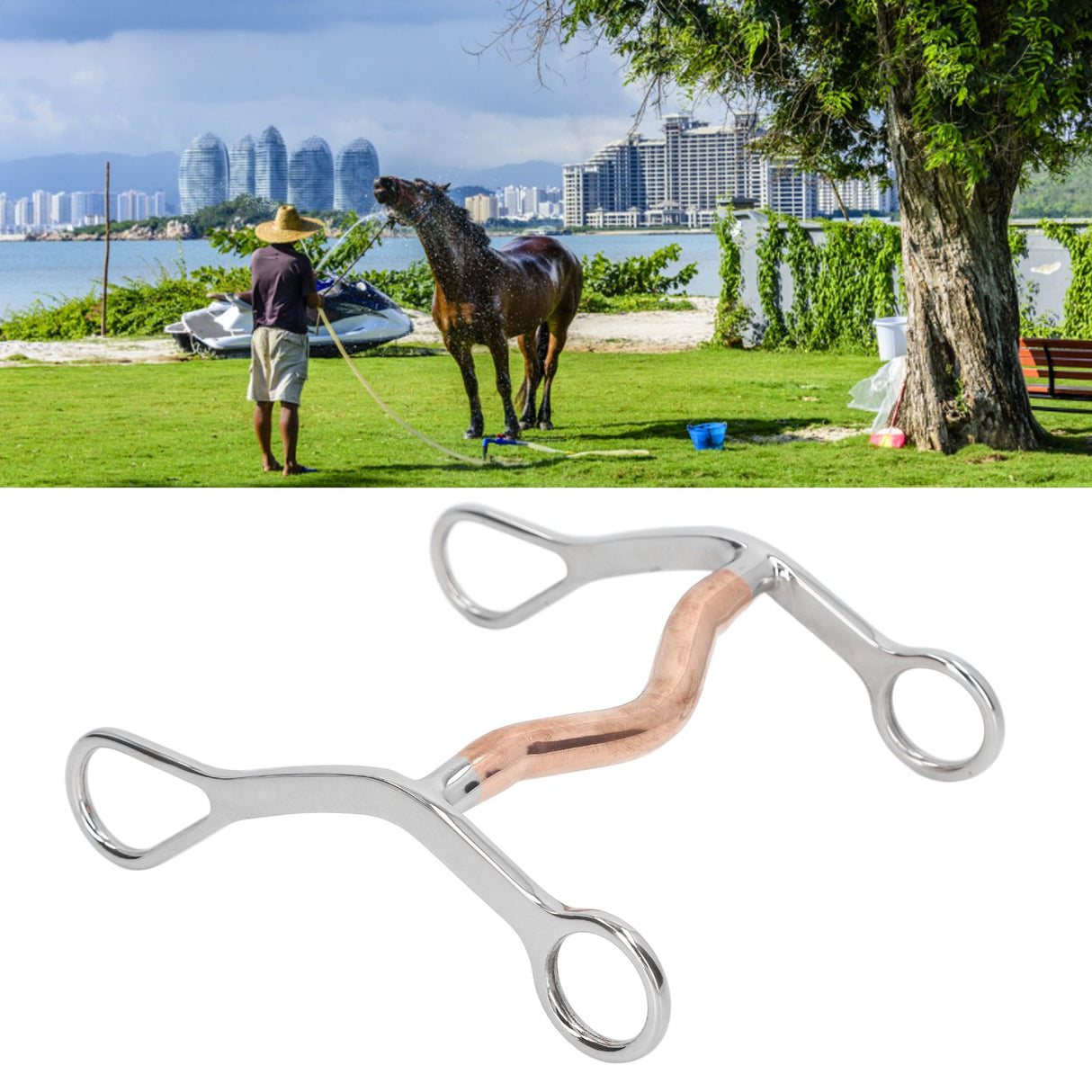 Horse Mouth Bit Stainless Steel Horse Breaking Bit Wear Resistant Corrosion Resistant Horse Snaffle Bit for Farm