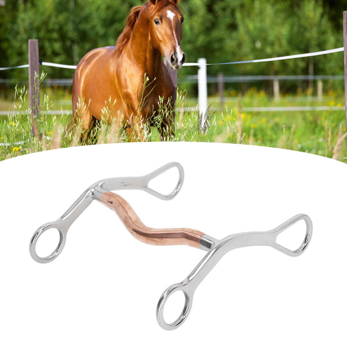 Horse Mouth Bit Stainless Steel Horse Breaking Bit Wear Resistant Corrosion Resistant Horse Snaffle Bit for Farm