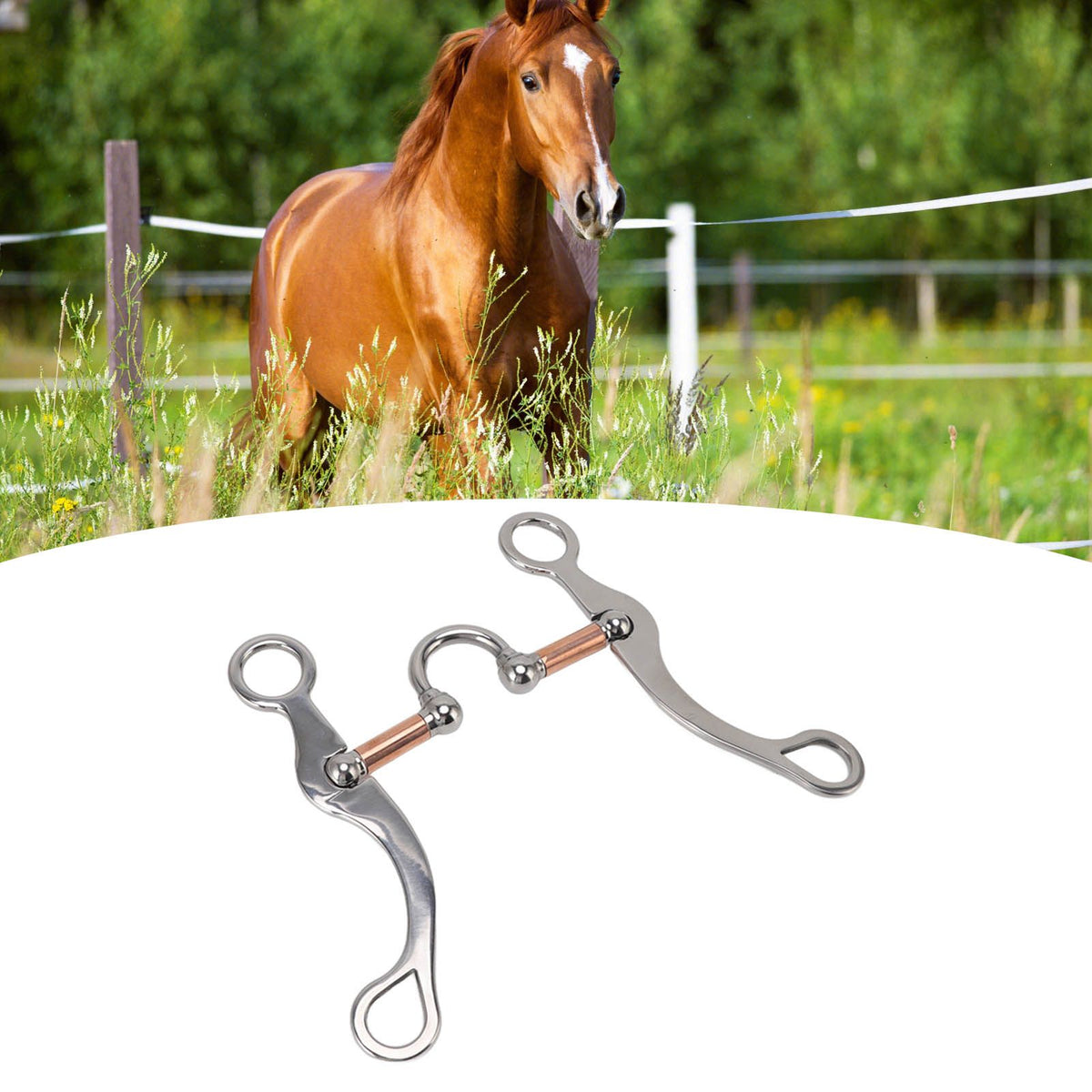Horse Snaffle Bit Stainless Steel Rose Gold Plated Horse Gag Loose Ring Outdoor Garden Cultivation Horse Mouth Bit