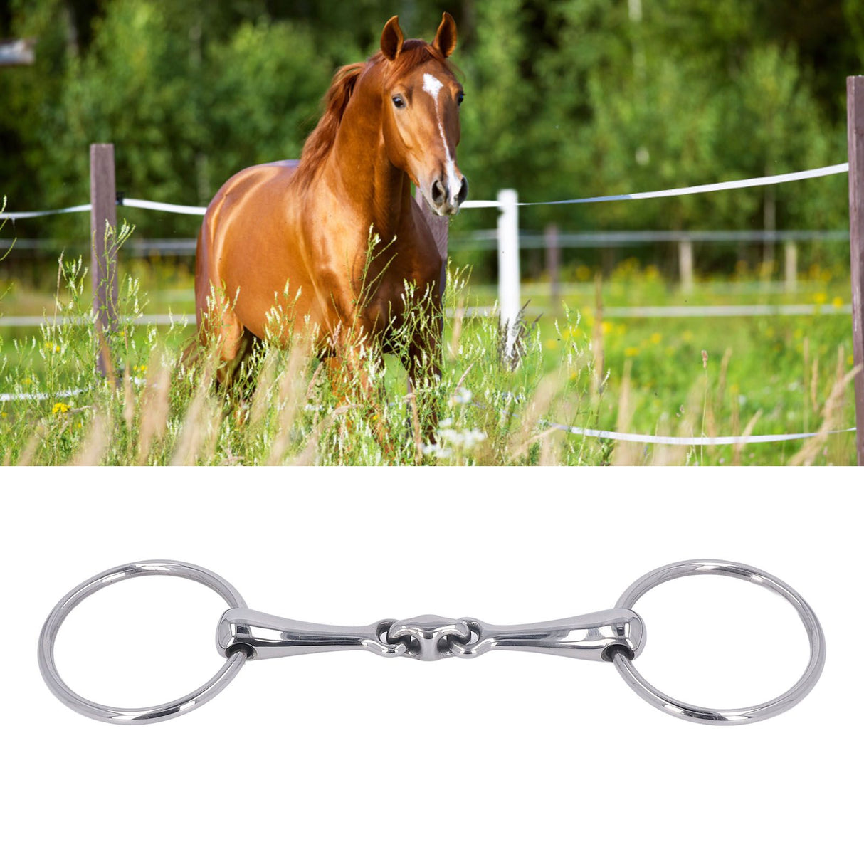 Horse Snaffle Stainless Steel Flexible Jointed Wearable Rust Proof O Ring Horse Mouth Bit for Horse Racing