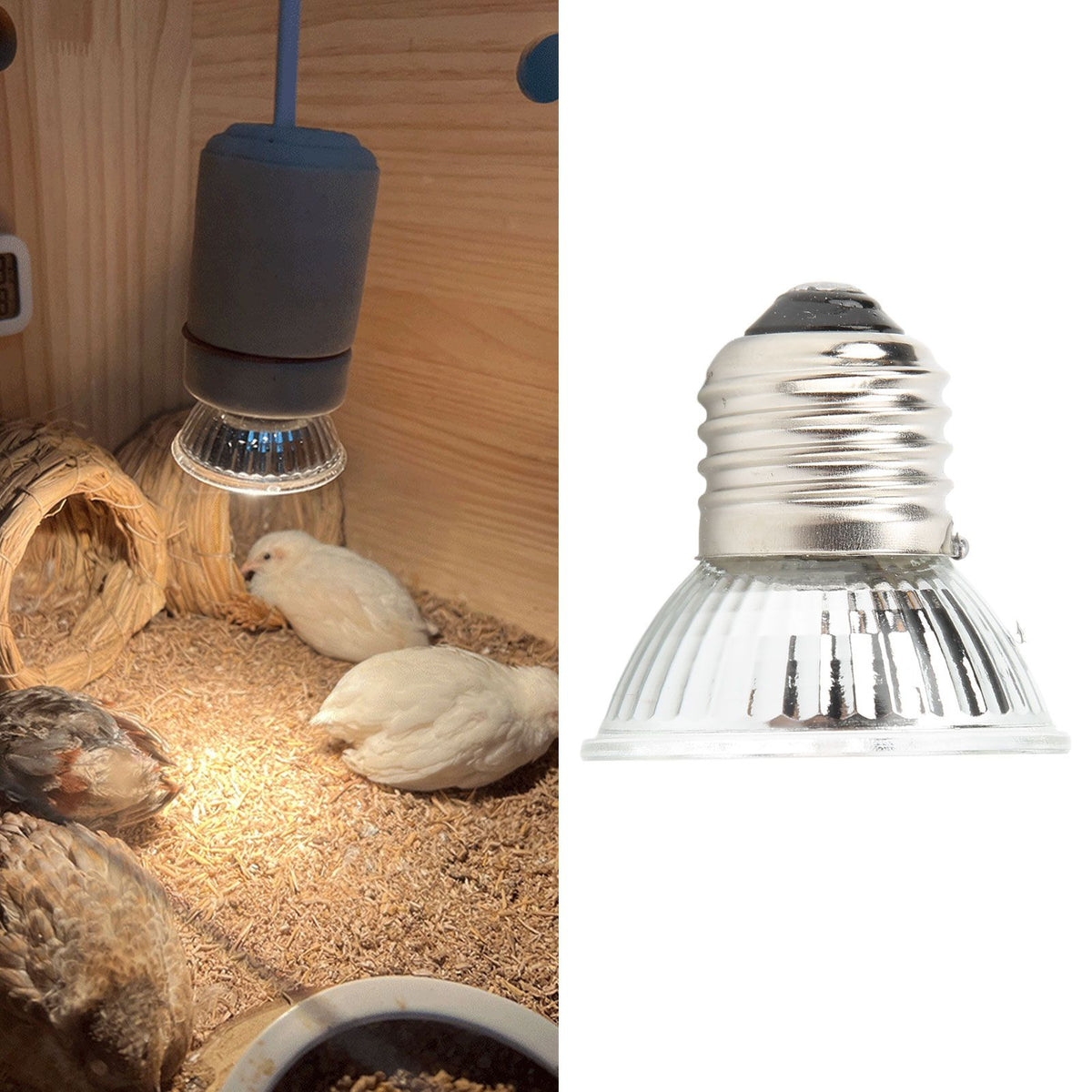 UVB Reptile Heat Lamp Bulbs Full Spectrum Energy Saving Sunbathe Heat Lamp for Amphibians 220‑240V Warm Light 25W