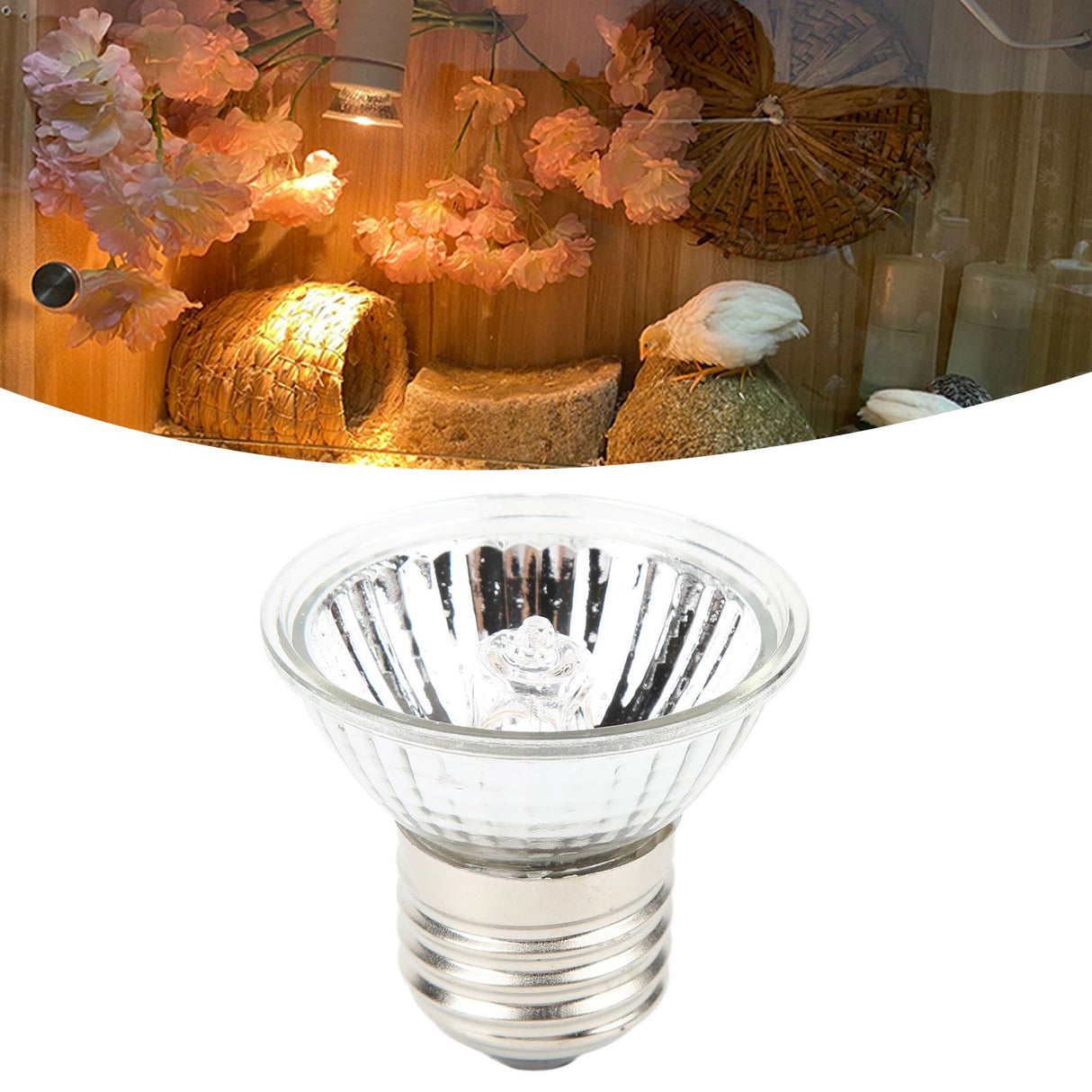 UVB Reptile Heat Lamp Bulbs Full Spectrum Energy Saving Sunbathe Heat Lamp for Amphibians 220‑240V Warm Light 50W