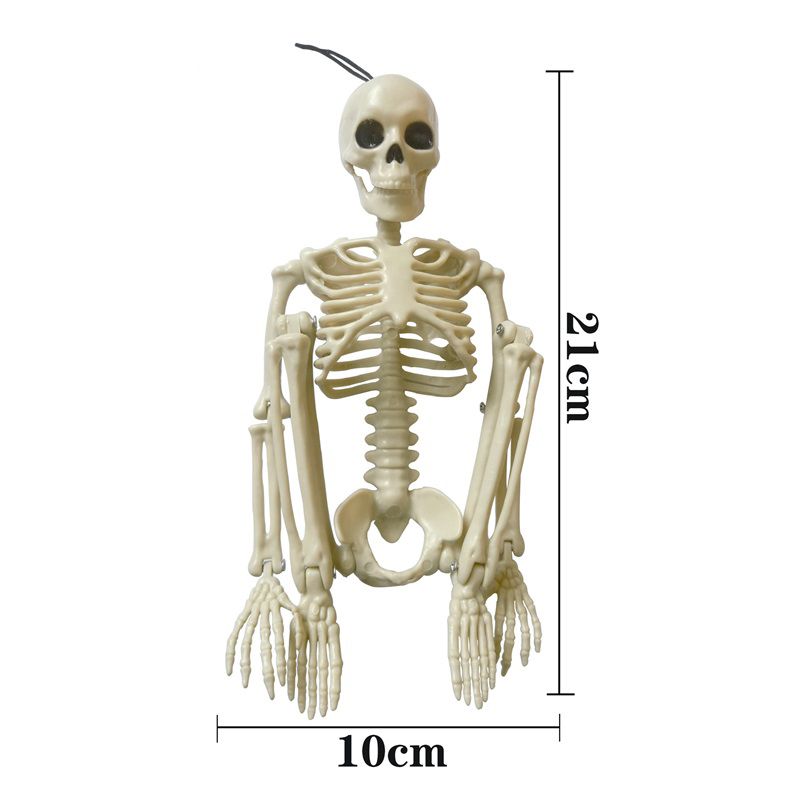 Halloween Skull Skeleton Decoration Simulated Human Plastic Bones Haunted House Decorative Skeleton Props Bride Bridegroom with Clothes