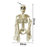 Halloween Skull Skeleton Decoration Simulated Human Plastic Bones Haunted House Decorative Skeleton Props Bride Bridegroom with Clothes