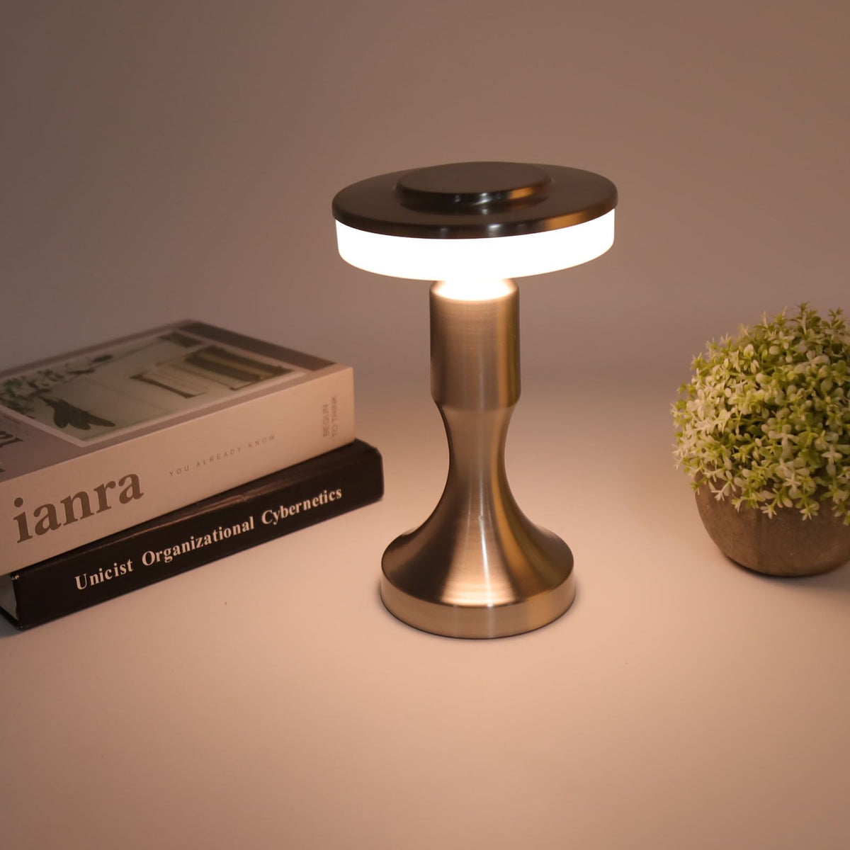 Portable LED Table Lamp Touch Sensor 3 Color Temperatures Rechargeable Battery Powered Bedside Night Lamp for Dining Room Silver