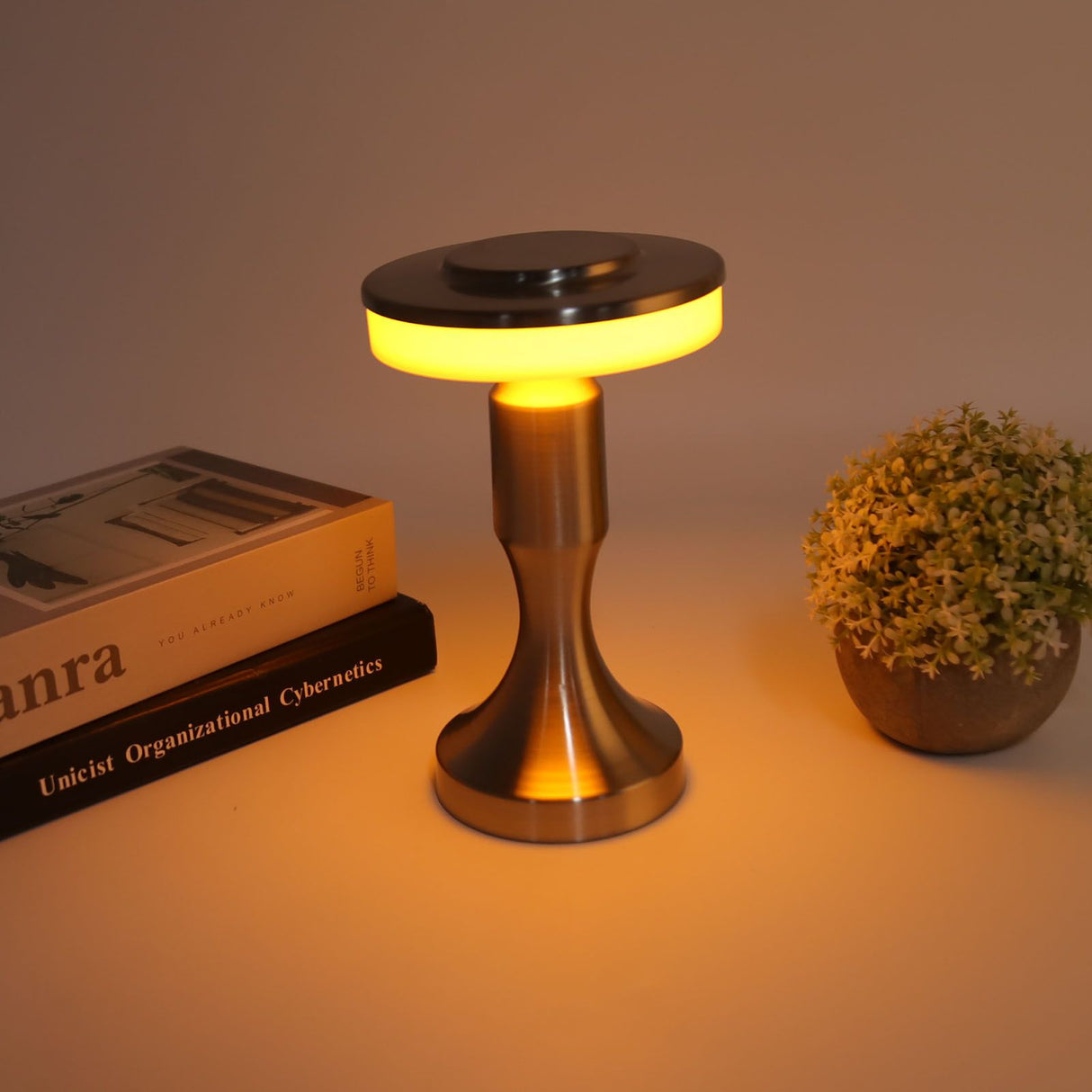 Portable LED Table Lamp Touch Sensor 3 Color Temperatures Rechargeable Battery Powered Bedside Night Lamp for Dining Room Silver