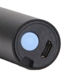 Ultraviolet Flashlight Rechargeable Mini 365nm Black Light Flashlight for Counterfeit Money Pet Urine Detection