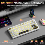 Solakaka A75 3-Mode RGB Mechanical Keyboard,White-Gray - 45-Degree Angle